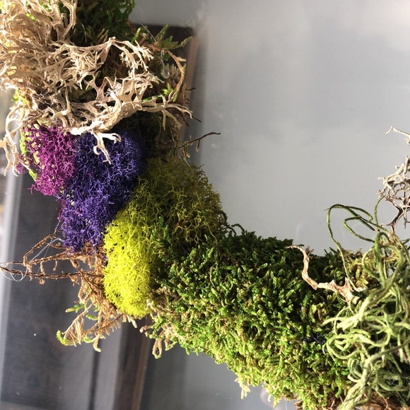 NEW Spring 🐣 Moss & Bird Handmade Cottagecore Wreath decor - Picture 3 of 8